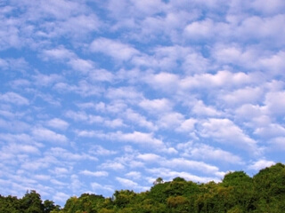 Stratocumulus